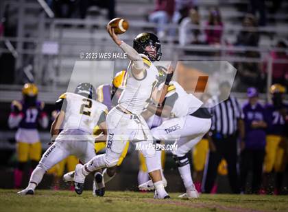 Thumbnail 1 in Hernando @ DeSoto Central photogallery.