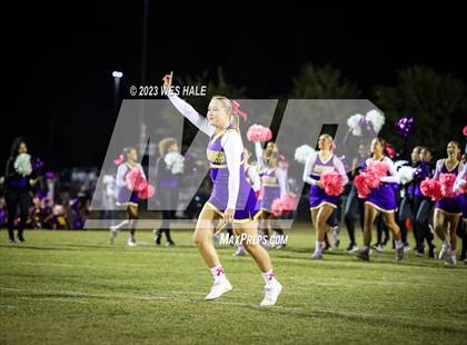 Thumbnail 2 in Hernando @ DeSoto Central photogallery.