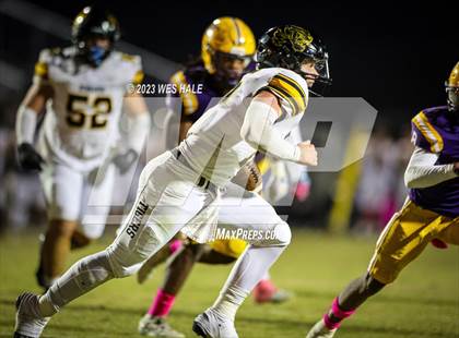 Thumbnail 3 in Hernando @ DeSoto Central photogallery.