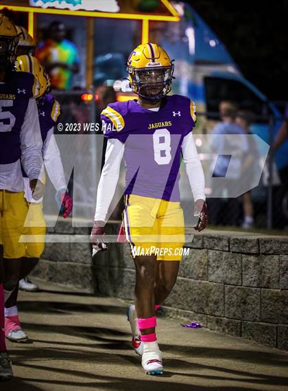 Thumbnail 3 in Hernando @ DeSoto Central photogallery.
