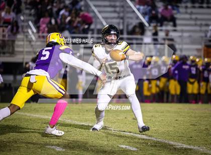 Thumbnail 3 in Hernando @ DeSoto Central photogallery.