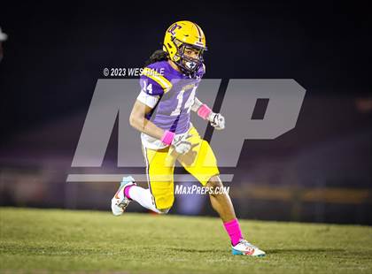 Thumbnail 2 in Hernando @ DeSoto Central photogallery.