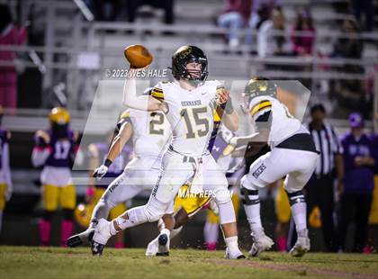 Thumbnail 2 in Hernando @ DeSoto Central photogallery.