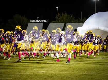 Thumbnail 1 in Hernando @ DeSoto Central photogallery.