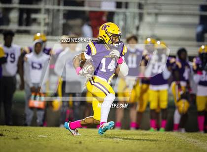 Thumbnail 1 in Hernando @ DeSoto Central photogallery.