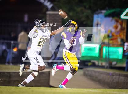 Thumbnail 2 in Hernando @ DeSoto Central photogallery.