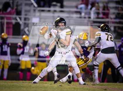Thumbnail 3 in Hernando @ DeSoto Central photogallery.