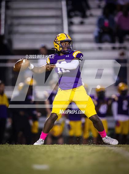 Thumbnail 2 in Hernando @ DeSoto Central photogallery.