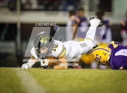 Thumbnail 1 in Hernando @ DeSoto Central photogallery.