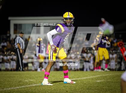 Thumbnail 3 in Hernando @ DeSoto Central photogallery.