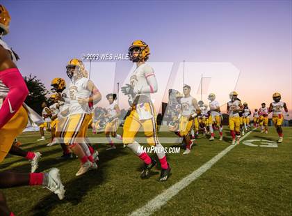 Thumbnail 3 in Hernando @ DeSoto Central photogallery.