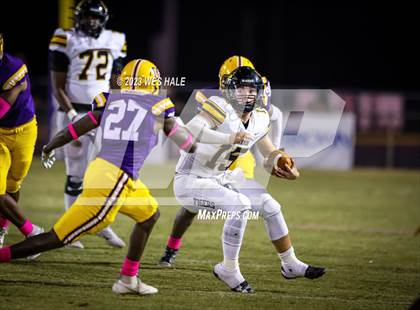 Thumbnail 1 in Hernando @ DeSoto Central photogallery.