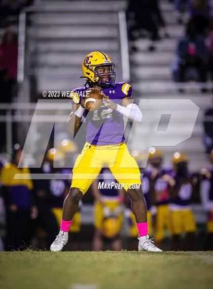 Thumbnail 2 in Hernando @ DeSoto Central photogallery.