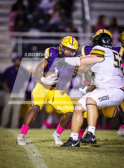 Thumbnail 2 in Hernando @ DeSoto Central photogallery.