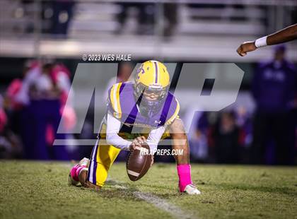 Thumbnail 1 in Hernando @ DeSoto Central photogallery.