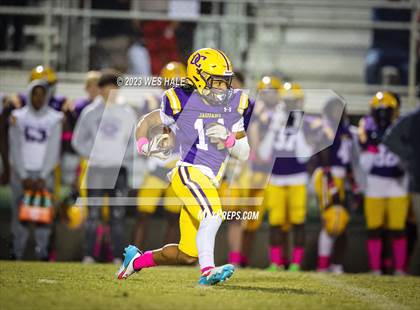 Thumbnail 2 in Hernando @ DeSoto Central photogallery.