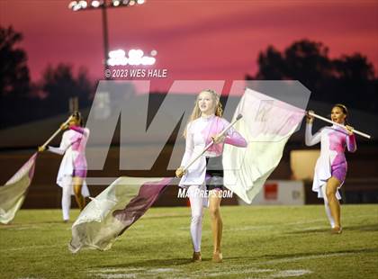 Thumbnail 1 in Hernando @ DeSoto Central photogallery.