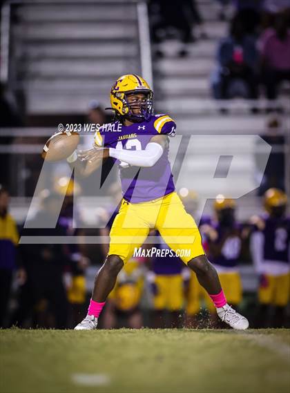 Thumbnail 1 in Hernando @ DeSoto Central photogallery.