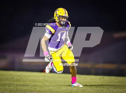 Thumbnail 3 in Hernando @ DeSoto Central photogallery.