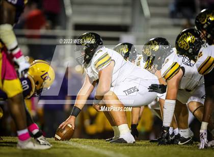 Thumbnail 1 in Hernando @ DeSoto Central photogallery.