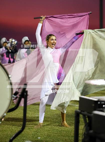 Thumbnail 1 in Hernando @ DeSoto Central photogallery.