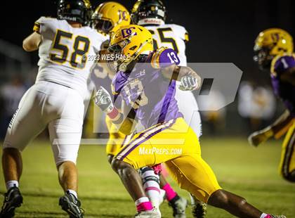 Thumbnail 1 in Hernando @ DeSoto Central photogallery.