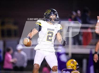 Thumbnail 1 in Hernando @ DeSoto Central photogallery.