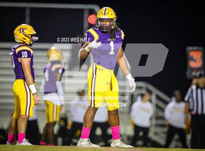 Thumbnail 1 in Hernando @ DeSoto Central photogallery.