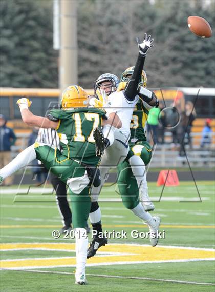 Thumbnail 1 in New Trier @ Stevenson (IHSA Class 8A Quarterfinal) photogallery.