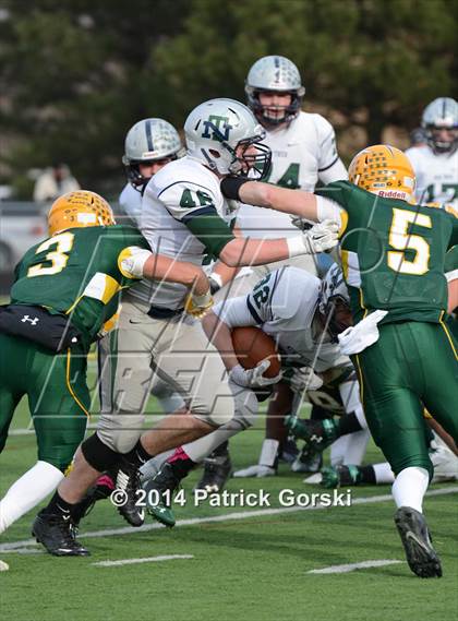 Thumbnail 1 in New Trier @ Stevenson (IHSA Class 8A Quarterfinal) photogallery.