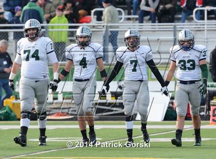 Thumbnail 1 in New Trier @ Stevenson (IHSA Class 8A Quarterfinal) photogallery.