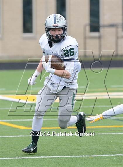 Thumbnail 3 in New Trier @ Stevenson (IHSA Class 8A Quarterfinal) photogallery.