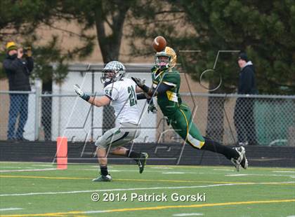 Thumbnail 2 in New Trier @ Stevenson (IHSA Class 8A Quarterfinal) photogallery.