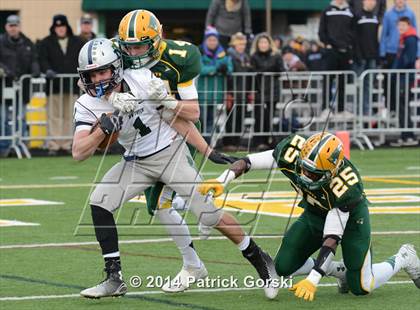 Thumbnail 1 in New Trier @ Stevenson (IHSA Class 8A Quarterfinal) photogallery.