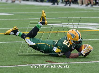 Thumbnail 1 in New Trier @ Stevenson (IHSA Class 8A Quarterfinal) photogallery.
