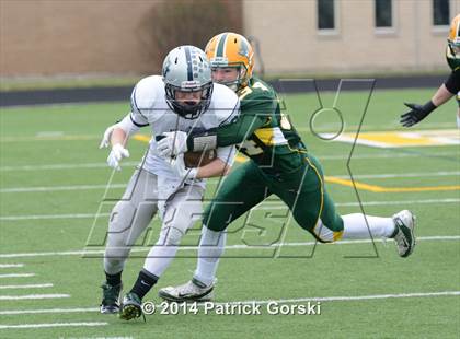 Thumbnail 1 in New Trier @ Stevenson (IHSA Class 8A Quarterfinal) photogallery.