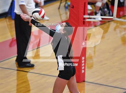 Thumbnail 1 in Osceola @ Tampa Prep photogallery.