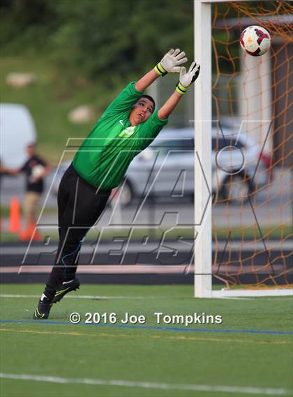 Thumbnail 3 in Rondout Valley @ Marlboro Central photogallery.
