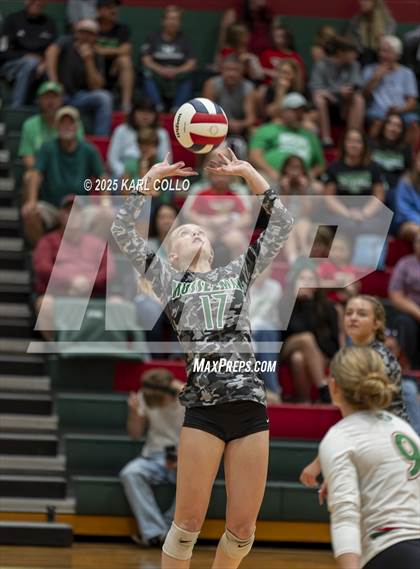Thumbnail 2 in Jefferson @ Musselman photogallery.