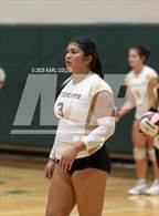 Photo from the gallery "Jefferson @ Musselman"