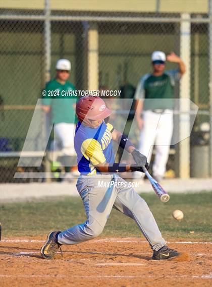 Thumbnail 3 in Bayshore @ Lakewood Ranch photogallery.