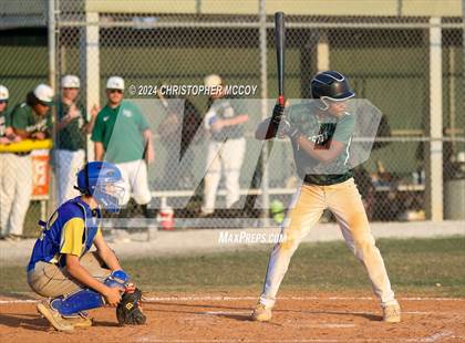 Thumbnail 3 in Bayshore @ Lakewood Ranch photogallery.