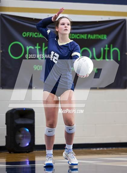 Thumbnail 3 in St. George's @ Arlington photogallery.