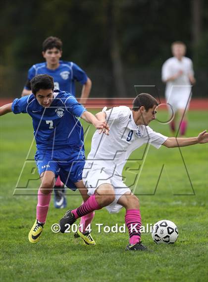 Thumbnail 3 in Old Saybrook @ Old Lyme photogallery.