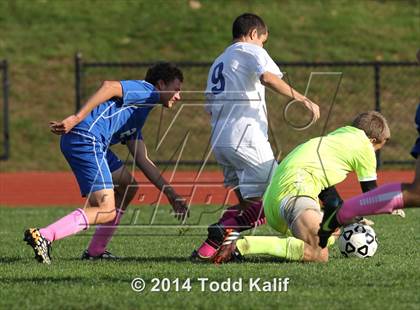 Thumbnail 1 in Old Saybrook @ Old Lyme photogallery.