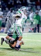 Photo from the gallery "Dixon @ Casa Roble"