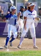 Photo from the gallery "Davis @ Franklin"