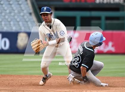 Thumbnail 3 in Ramona vs. Warren (Halo Classic) photogallery.