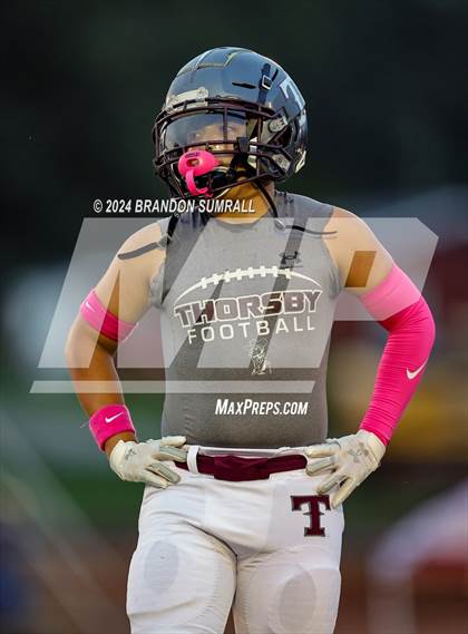 Thumbnail 2 in Thomasville @ Thorsby photogallery.