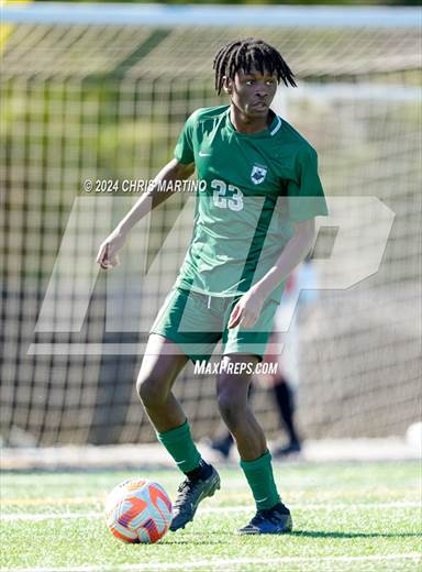 null - Photo 21